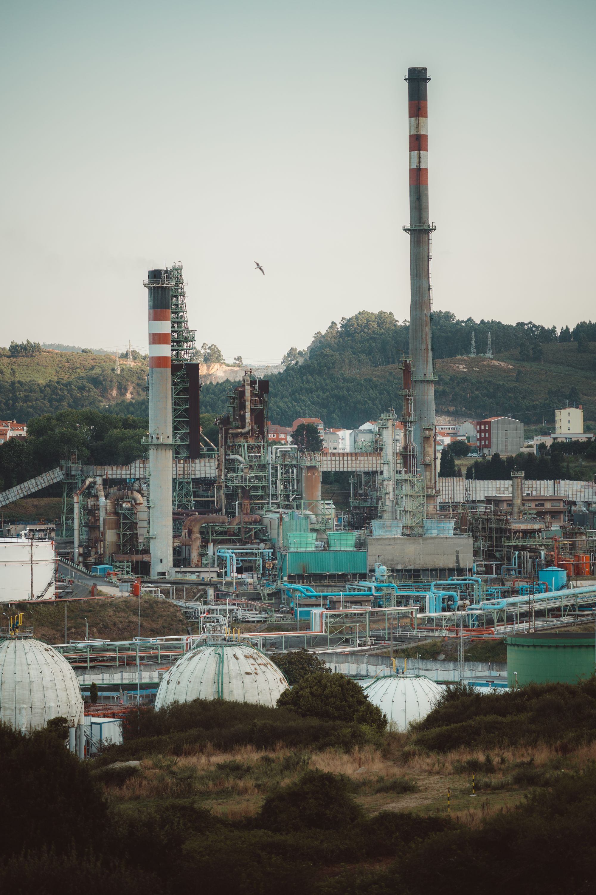 Chemicals & Petrochemicals highlight