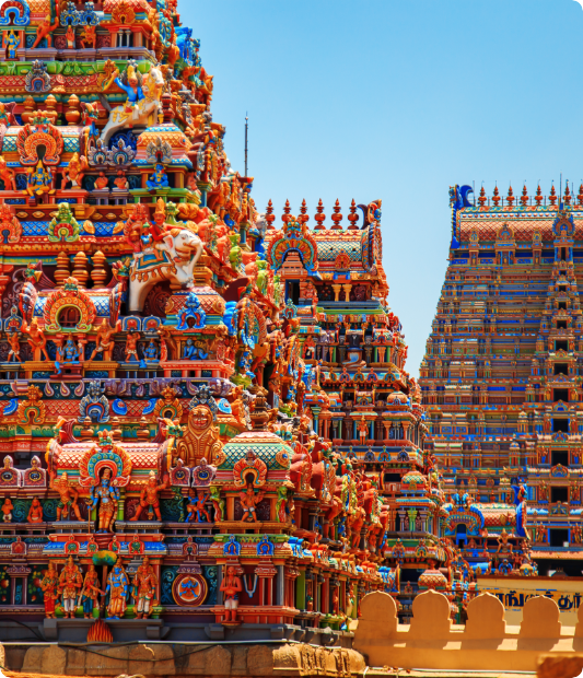 Tamil Nadu Culture 3