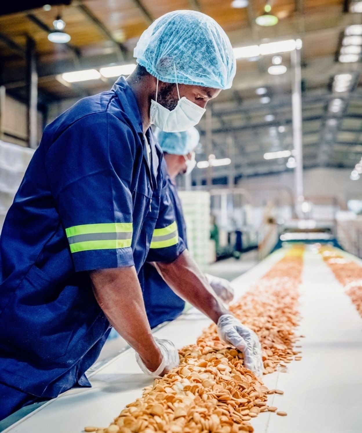 Food Processing highlight