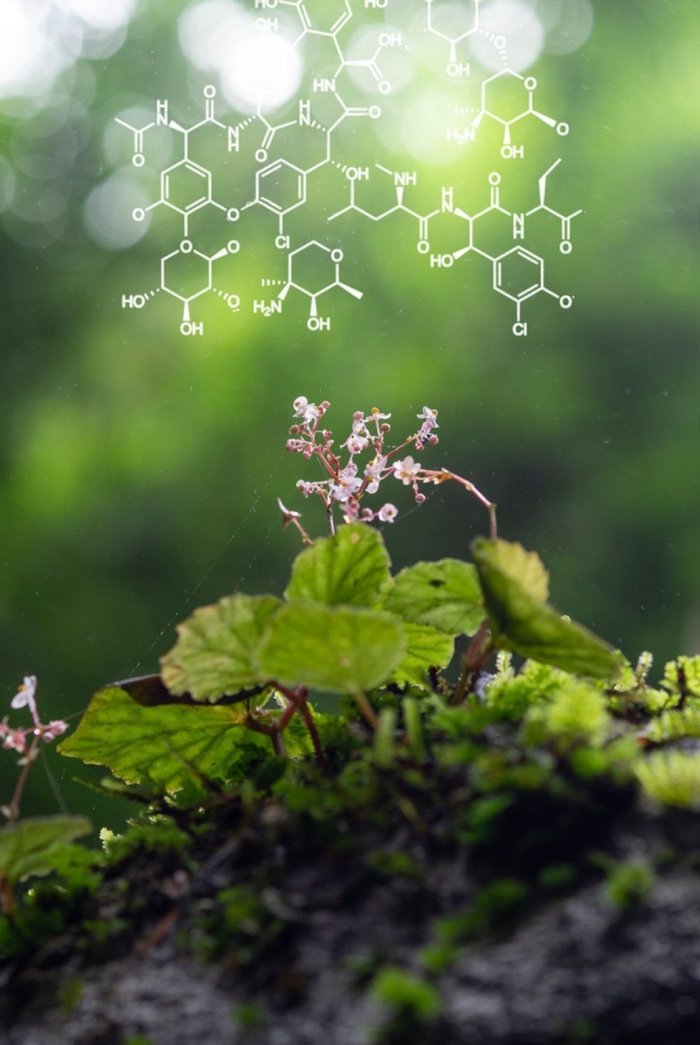 Life Sciences highlight