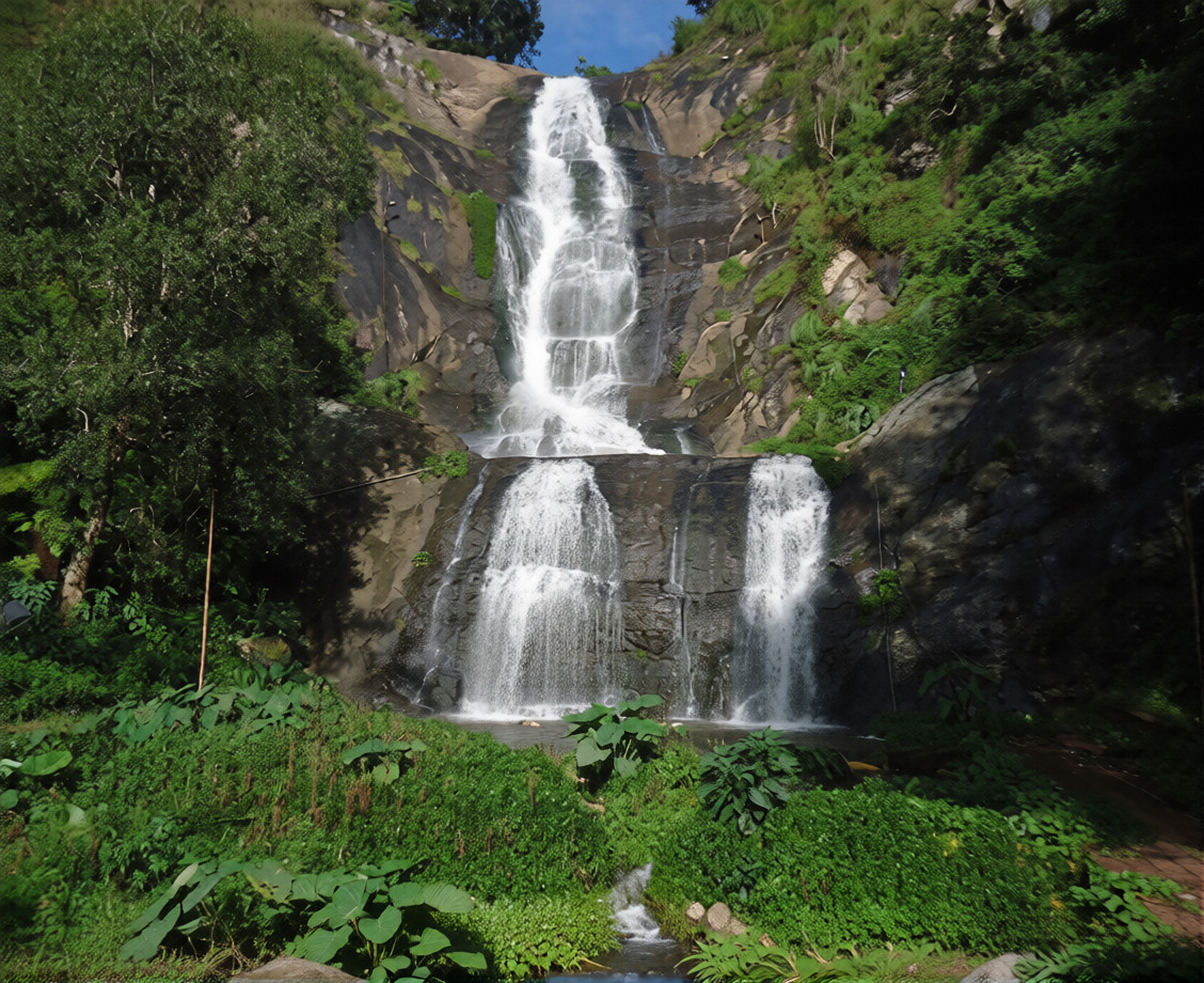 Tourism & Hospitality highlight